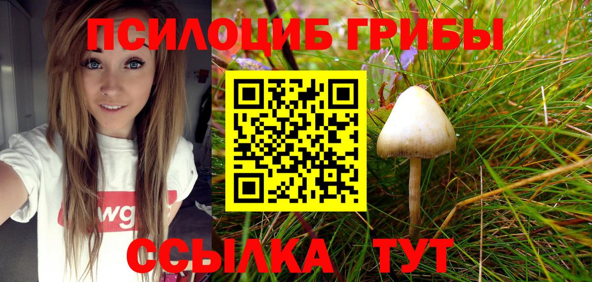 Псилоцибиновые грибы MAGIC MUSHROOMS  Псилоцибиновые грибы MAGIC MUSHROOMS  Строитель  Вход с VPN 